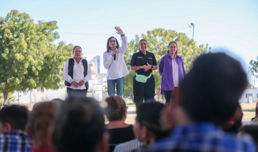 Borrador automático