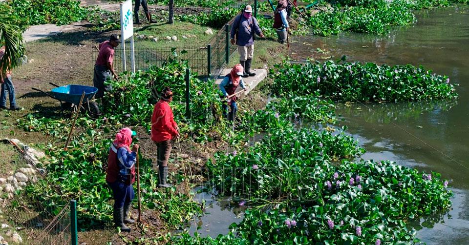 Destinan Madero recursos para la limpieza de lagunas