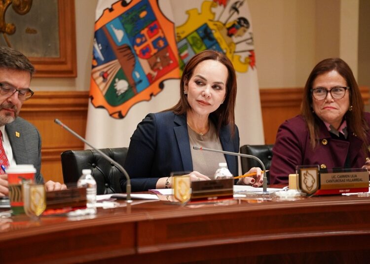 Borrador automático