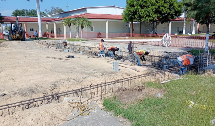 Borrador automático