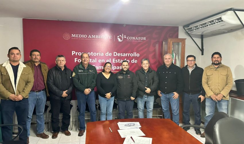 Plan Estatal de Manejo del Fuego 2025