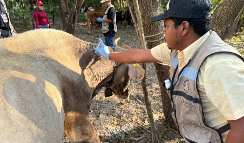 Acción inmediata y coordinación interinstitucional ante caso de GBG en Tamaulipas