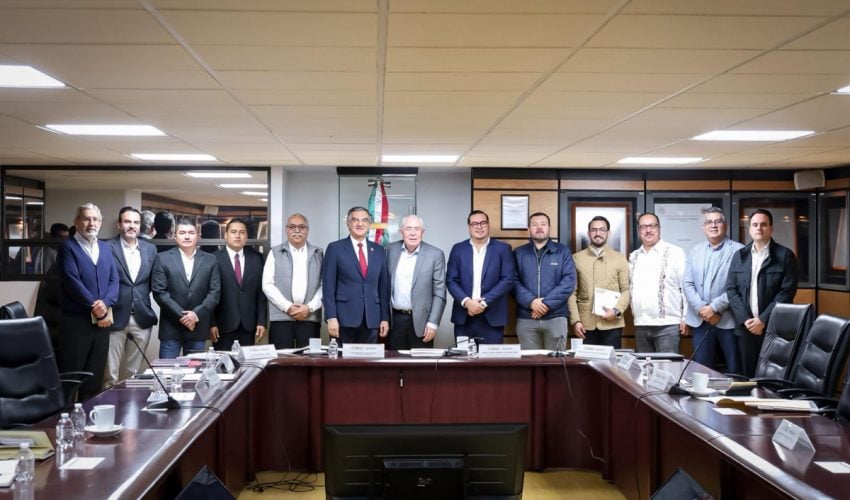 Borrador automático