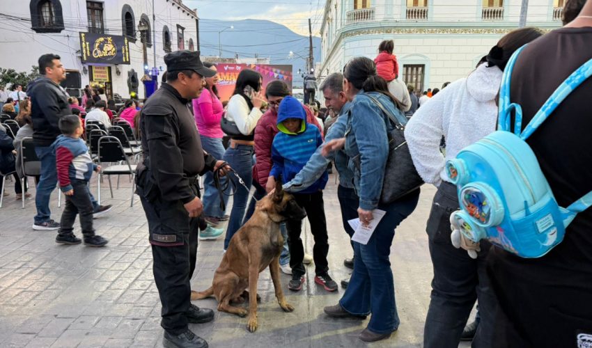 Borrador automático